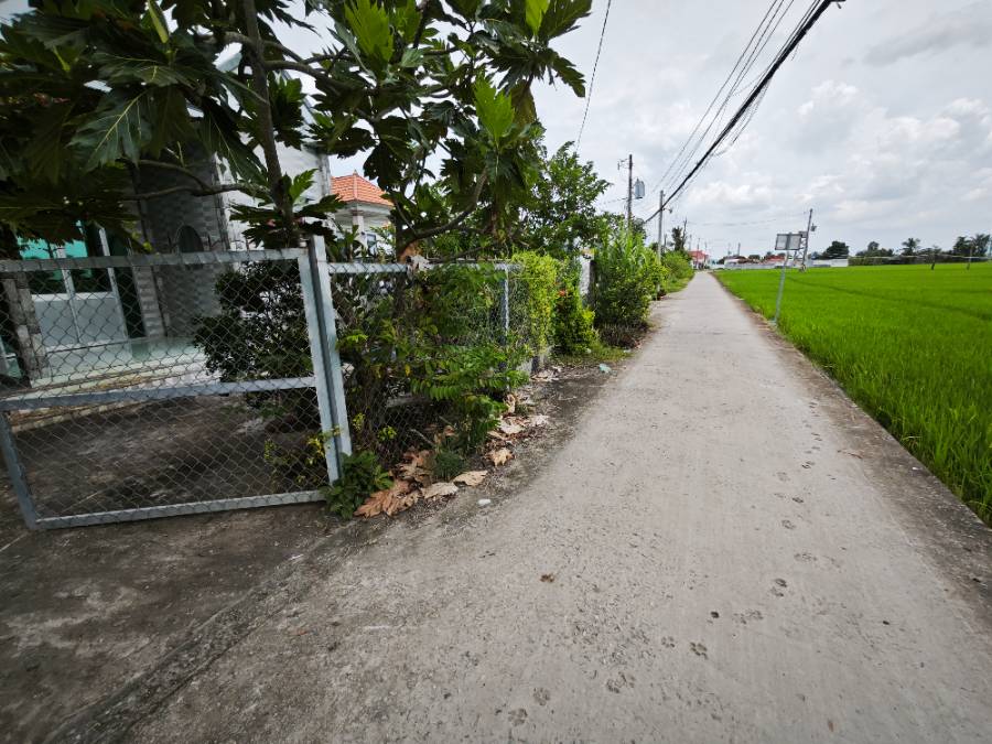 Bán  lô đất thổ hai mặt tiền có nhà giá 1,9 tỷ - Xã Đức Tân  -  Huyện Tân Trụ  - (ảnh - 4)