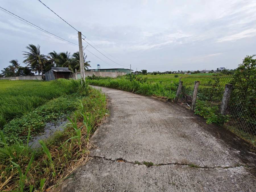  Bán đất xã Vàm Cỏ  chuyển thổ phân lô 2 mặt tiền giá 2,6 tỷ  - Xã Đức Tân  -  Huyện Tân Trụ  - (ảnh - 2)