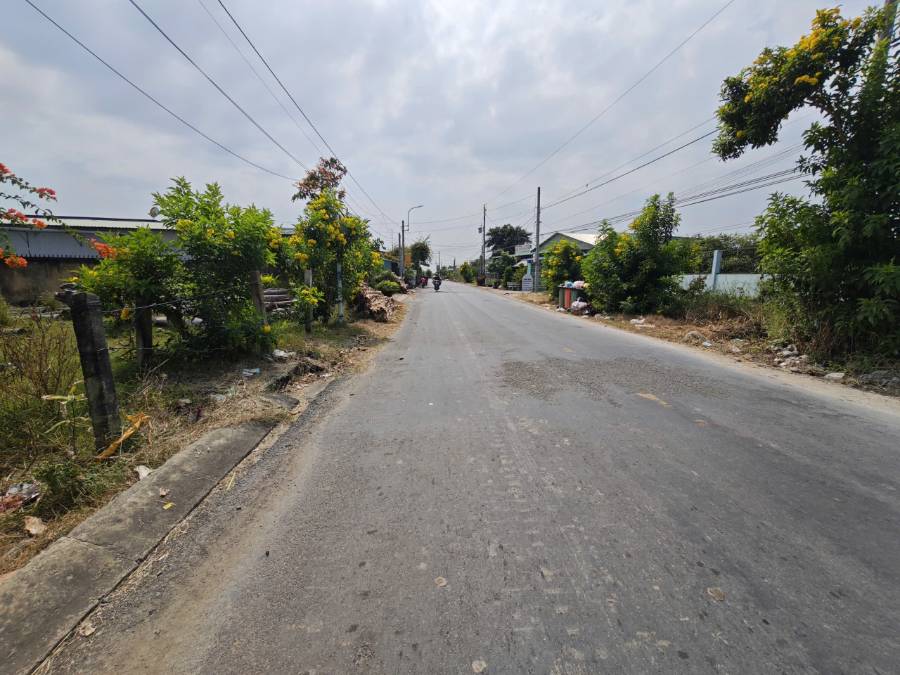 Bán thanh lý lô đất thổ mặt tiền Cao Thị Mai giá 1,7 tỷ   - Xã Bình Trinh Đông  -  Huyện Tân Trụ  - (ảnh - 5)