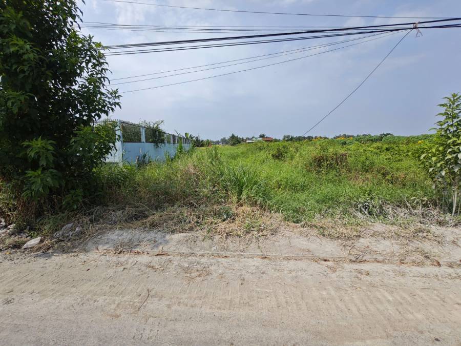 Bán thanh lý lô đất thổ mặt tiền Cao Thị Mai giá 1,7 tỷ   - Xã Bình Trinh Đông  -  Huyện Tân Trụ  - (ảnh - 6)