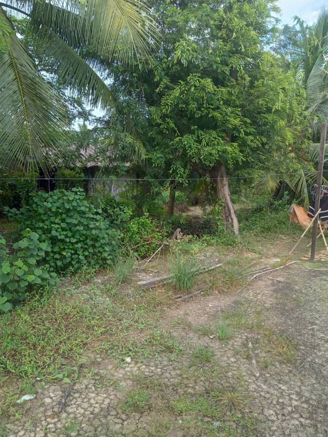 Bán gấp lô đất Thổ có nhà xã Vàm Cỏ giá 2,5 tỷ  - Xã Nhựt Ninh  -  Huyện Tân Trụ  - (ảnh - 6)