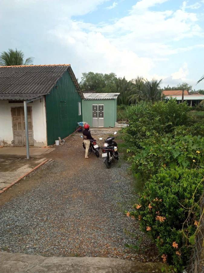 Bán gấp lô đất Thổ có nhà xã Vàm Cỏ giá 2,5 tỷ  - Xã Nhựt Ninh  -  Huyện Tân Trụ  - (ảnh - 1)