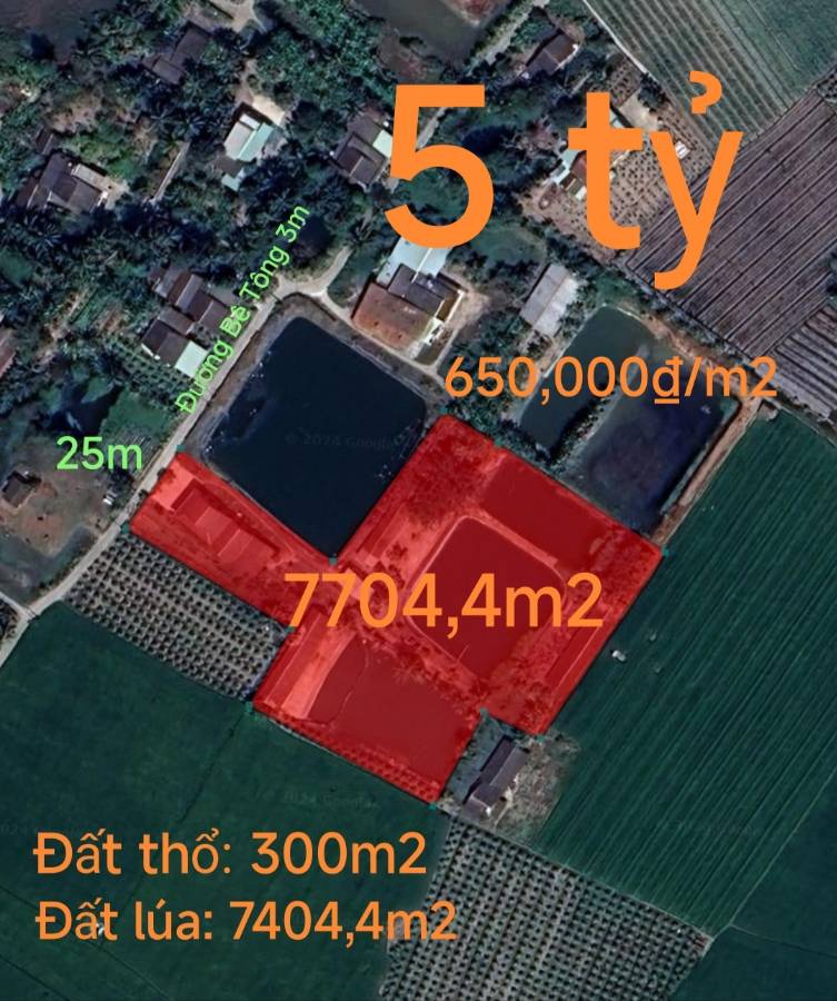 Bán lô đất thổ lúa có  nhà Xã Đức Tân gần Quốc Lộ 50B giá thanh  lý 5 tỷ  - Xã Đức Tân  -  Huyện Tân Trụ  - (ảnh - 1)