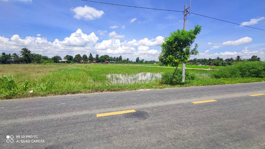 Bán lô đất lúa chuyển thổ mặt tiền Tỉnh Lộ 833B giá 2,5 triệu/m2 - Xã Lạc Tấn  -  Huyện Tân Trụ  - (ảnh - 4)