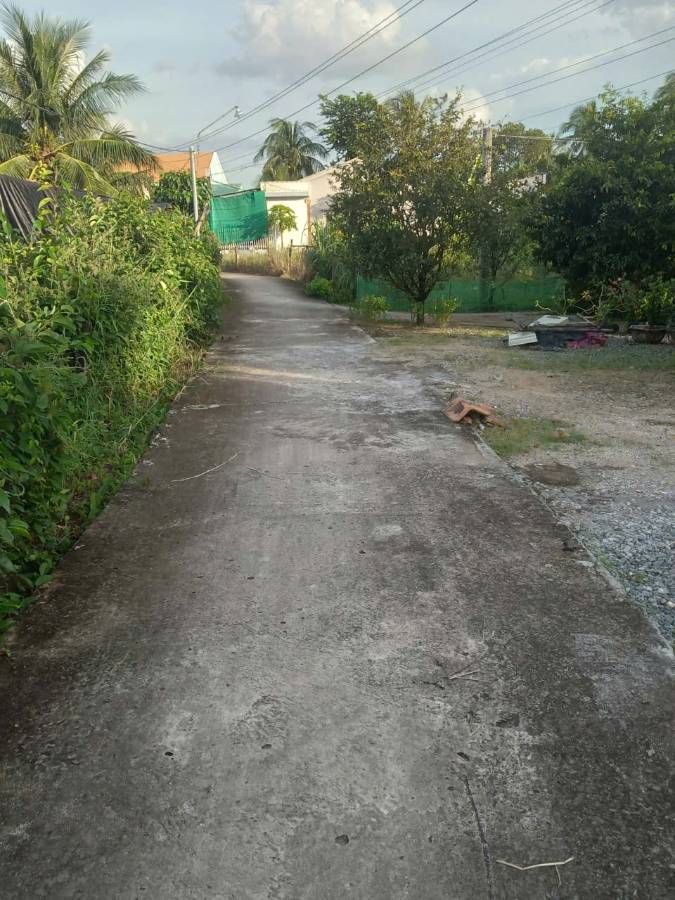 Bán gấp lô đất Thổ có nhà xã Nhựt Ninh giá 1,15 tỷ  - Xã Nhựt Ninh  -  Huyện Tân Trụ  - (ảnh - 6)