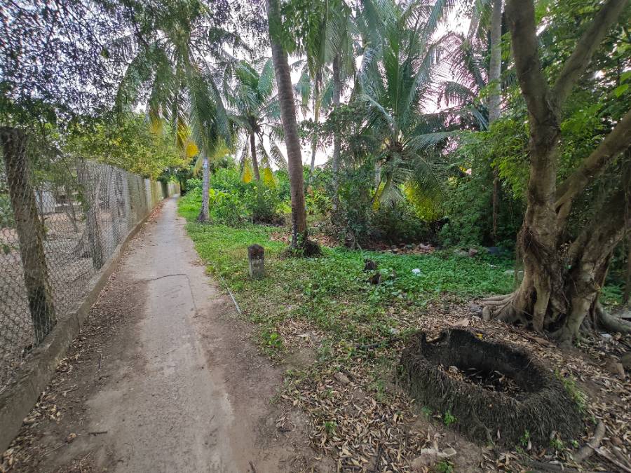 Bán lô đất thổ hai mặt tiền tỉnh lộ 833 giá 1,85 tỷ  - Xã Đức Tân  -  Huyện Tân Trụ  - (ảnh - 6)