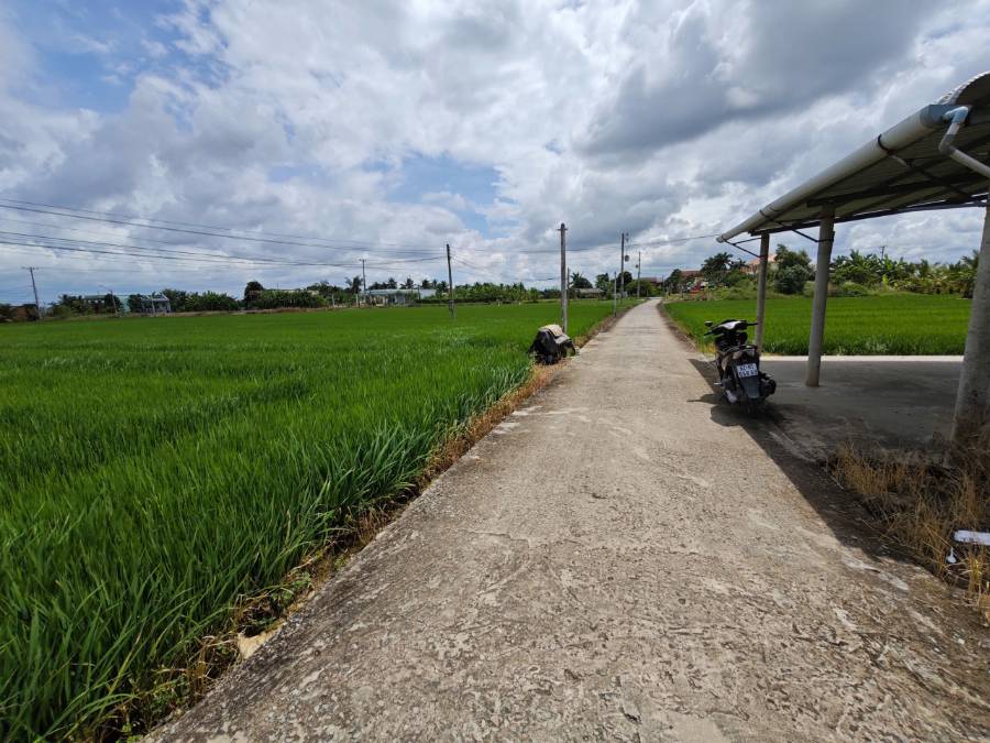Bán đất lúa chuyển thổ  xã Vàm Cỏ gần Quốc Lộ 50B giá 7,3 tỷ  - Xã Đức Tân  -  Huyện Tân Trụ  - (ảnh - 4)
