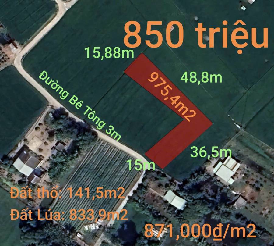 Bán đất thổ lúa làm nhà vườn gần Quốc Lộ 50B giá 850 triệu  - Xã Đức Tân  -  Huyện Tân Trụ  - (ảnh - 3)