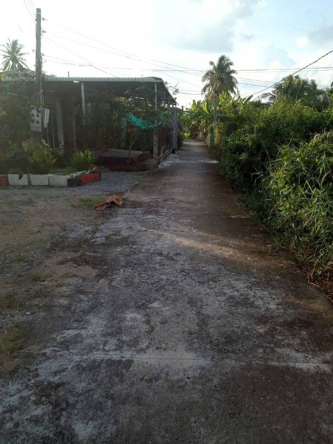 Bán gấp lô đất Thổ có nhà xã Nhựt Ninh giá 1,15 tỷ  - Xã Nhựt Ninh  -  Huyện Tân Trụ  - (ảnh - 0)