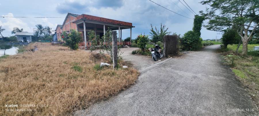 Bán lô đất thổ lúa có  nhà Xã Đức Tân gần Quốc Lộ 50B giá thanh  lý 5 tỷ  - Xã Đức Tân  -  Huyện Tân Trụ  - (ảnh - 2)