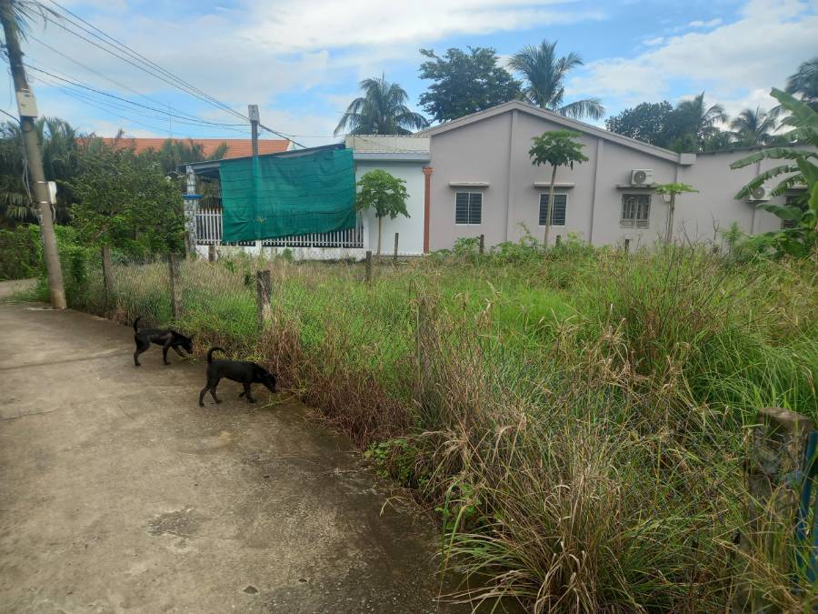 Bán gấp lô đất Thổ xã Nhựt Ninh giá 950 triệu  - Xã Nhựt Ninh  -  Huyện Tân Trụ  - (ảnh - 0)