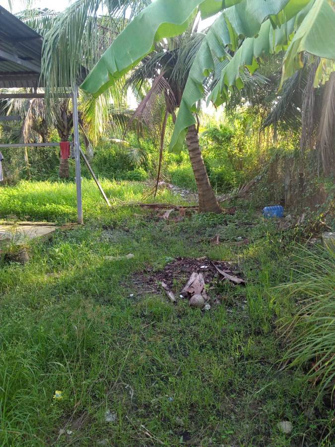 Bán gấp lô đất Thổ có nhà xã Nhựt Ninh giá 1,15 tỷ  - Xã Nhựt Ninh  -  Huyện Tân Trụ  - (ảnh - 5)