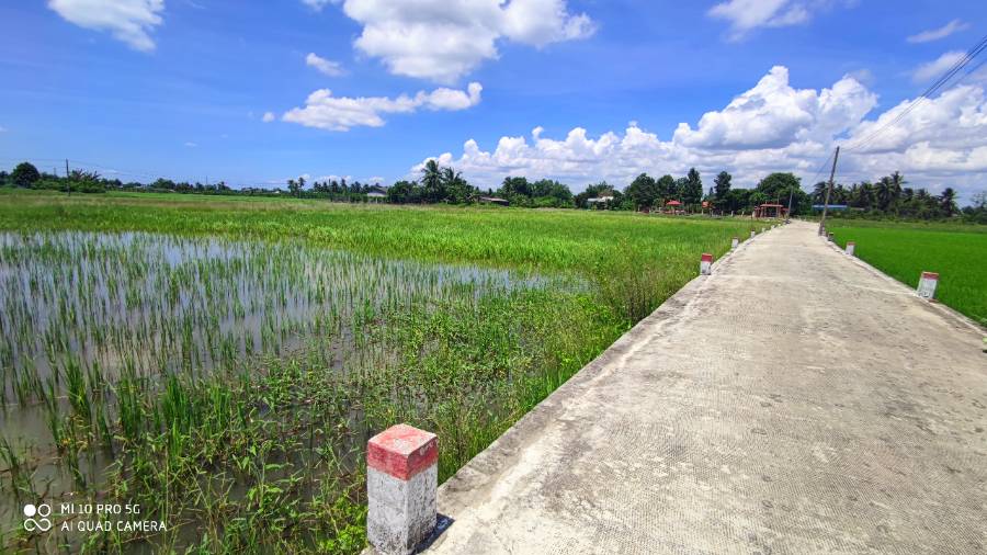 Bán lô đất lúa chuyển thổ mặt tiền Tỉnh Lộ 833B giá 2,5 triệu/m2 - Xã Lạc Tấn  -  Huyện Tân Trụ  - (ảnh - 5)