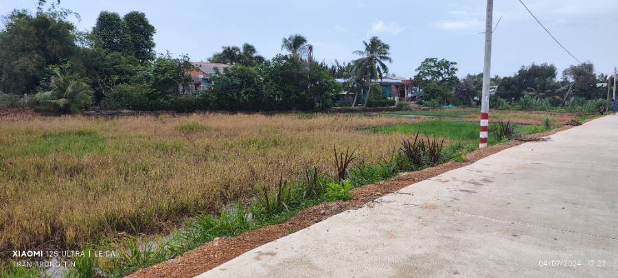Bán lô đất lúa 4 mặt tiền chuyển thổ phân lô giá chốt 4  tỷ  - Thị trấn Tân Trụ  -  Huyện Tân Trụ  - (ảnh - 7)