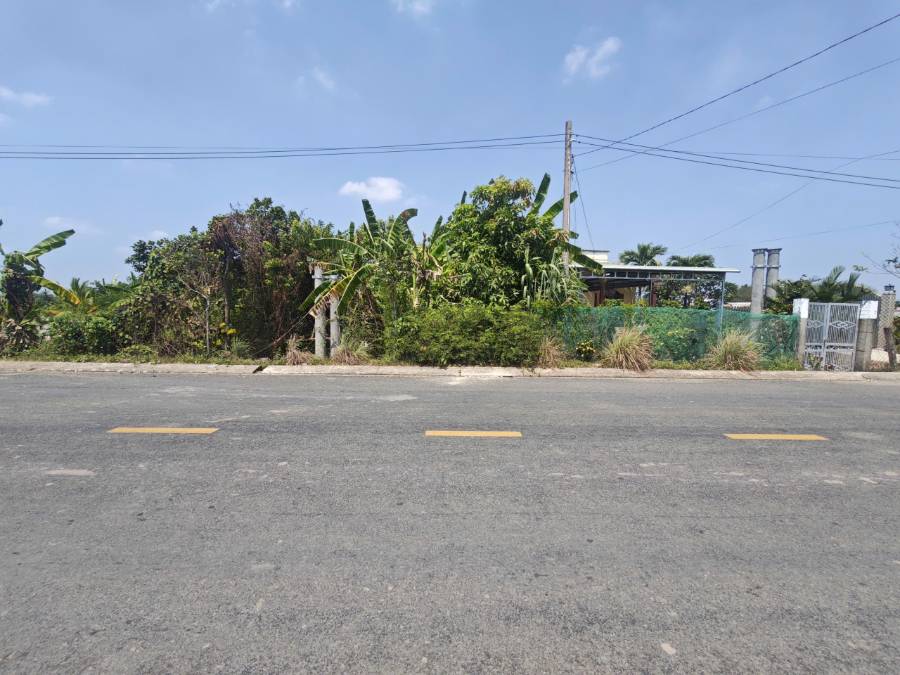 Bán đất lúa mặt tiền Tỉnh  Lộ 833 làm kho bãi giá 7,35 tỷ  - Thị trấn Tân Trụ  -  Huyện Tân Trụ  - (ảnh - 5)