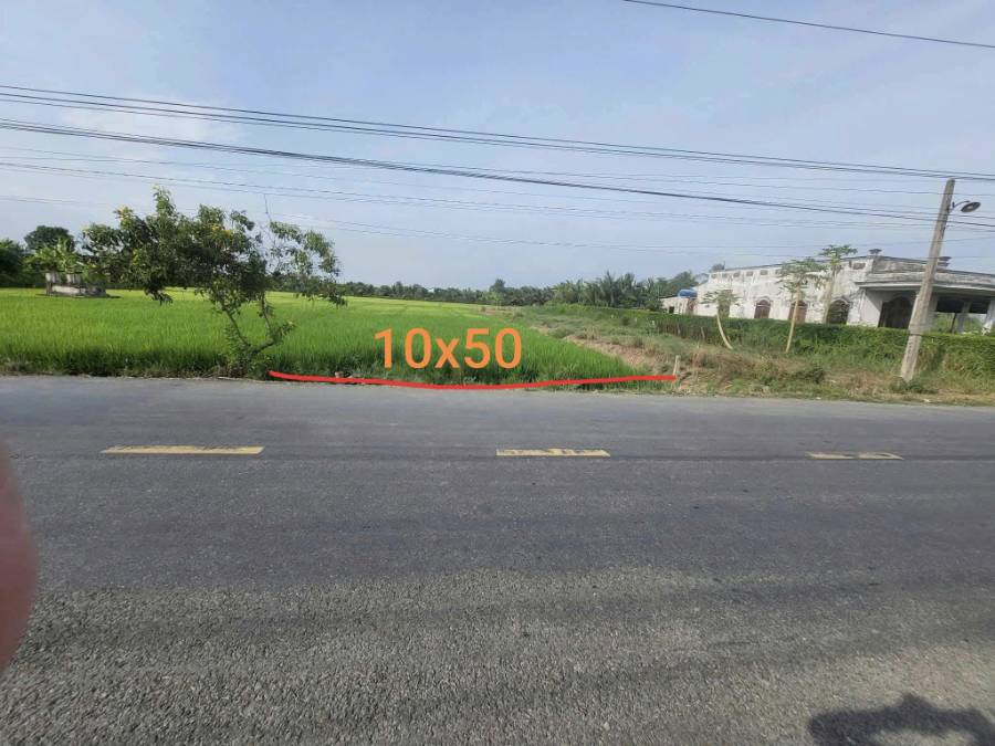 Bán lô đất thổ mặt tiền DT 833D giá 4 tỷ  - Xã Mỹ Bình  -  Huyện Tân Trụ  - (ảnh - 3)