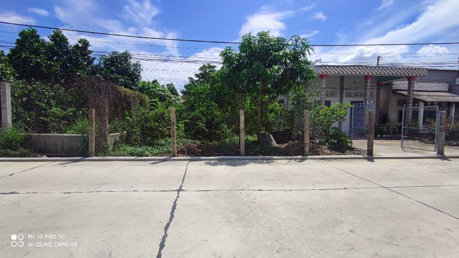 Bán  lô đất  thổ mặt tiền đường đan giá 1,6 tỷ  - Thị trấn Tân Trụ  -  Huyện Tân Trụ  - (ảnh - 3)