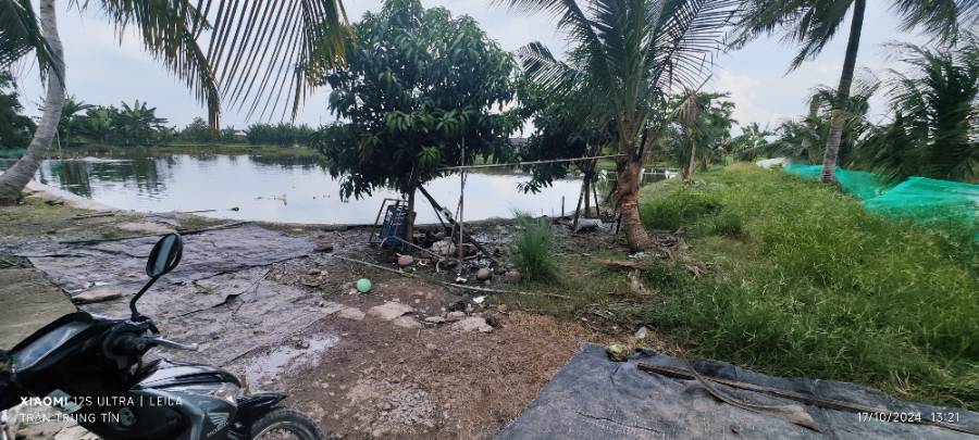 Bán lô đất thổ lúa có  nhà Xã Đức Tân gần Quốc Lộ 50B giá thanh  lý 5 tỷ  - Xã Đức Tân  -  Huyện Tân Trụ  - (ảnh - 7)