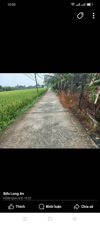 Bán lô đất thổ không dính quy hoạch giá 3,3 tỷ  - Xã Bình Trinh Đông  -  Huyện Tân Trụ  - (ảnh - 1)