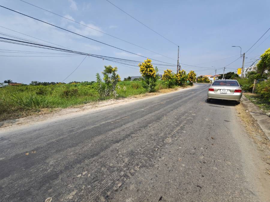 Bán thanh lý lô đất thổ mặt tiền Cao Thị Mai giá 1,7 tỷ   - Xã Bình Trinh Đông  -  Huyện Tân Trụ  - (ảnh - 1)