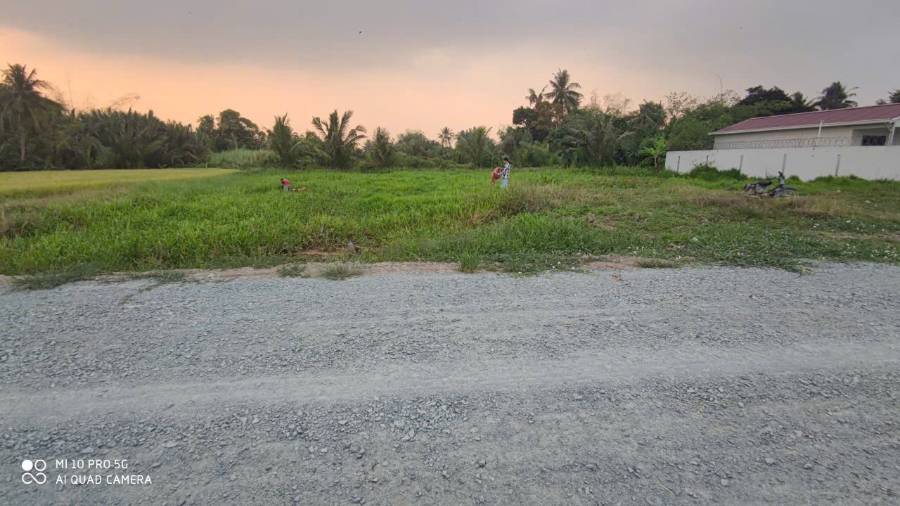 Bán gấp lô đất thổ mặt tiền đường Nguyễn văn Châu giá 500 triệu - Xã Đức Tân  -  Huyện Tân Trụ  - (ảnh - 3)