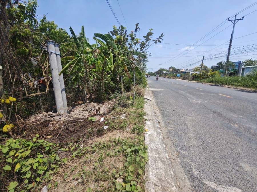 Bán đất lúa mặt tiền Tỉnh  Lộ 833 làm kho bãi giá 7,35 tỷ  - Thị trấn Tân Trụ  -  Huyện Tân Trụ  - (ảnh - 7)