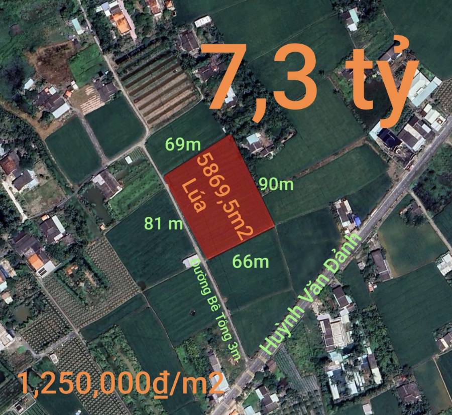 Bán đất lúa chuyển thổ  xã Vàm Cỏ gần Quốc Lộ 50B giá 7,3 tỷ  - Xã Đức Tân  -  Huyện Tân Trụ  - (ảnh - 7)