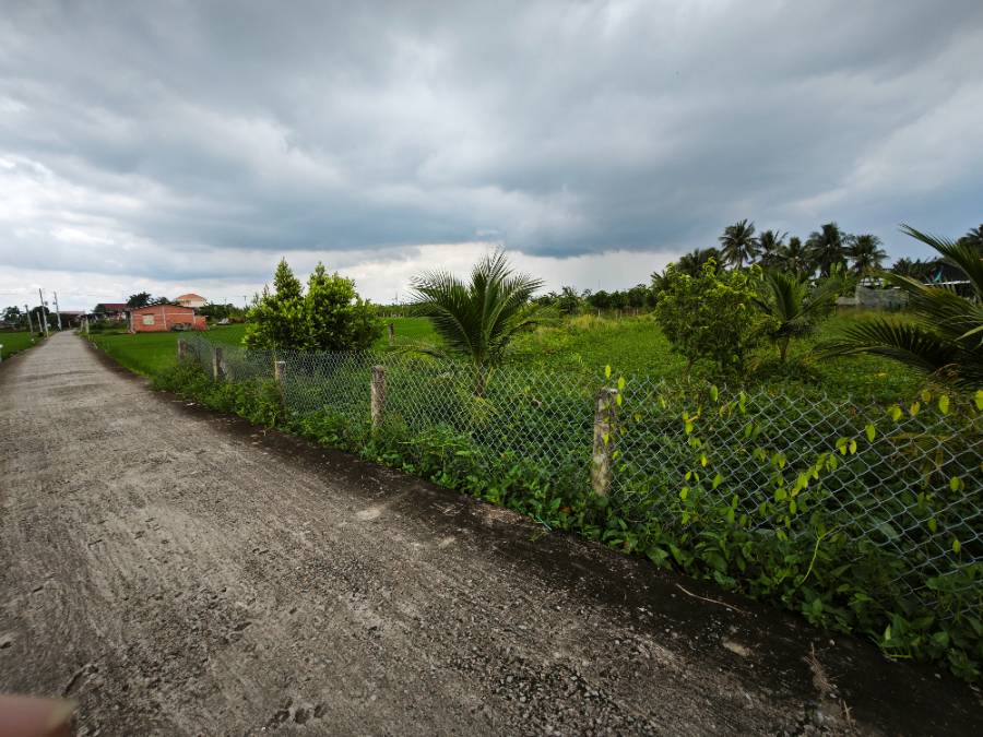 Bán đất lúa chuyển thổ xã Vàm Cỏ gần Quốc Lộ 50B giá 1,6 tỷ  - Xã Đức Tân  -  Huyện Tân Trụ  - (ảnh - 5)