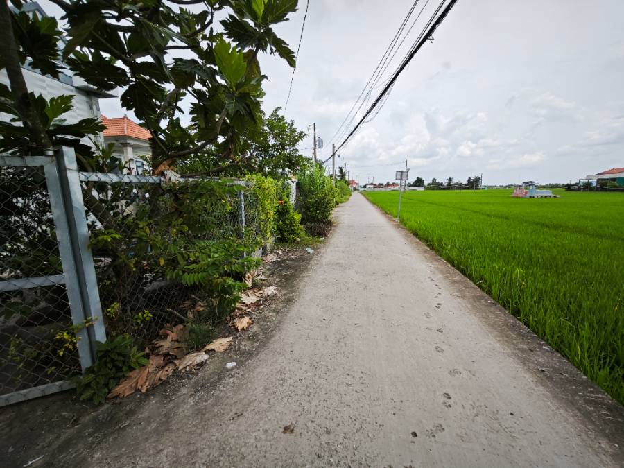 Bán  lô đất thổ hai mặt tiền có nhà giá 1,9 tỷ - Xã Đức Tân  -  Huyện Tân Trụ  - (ảnh - 1)