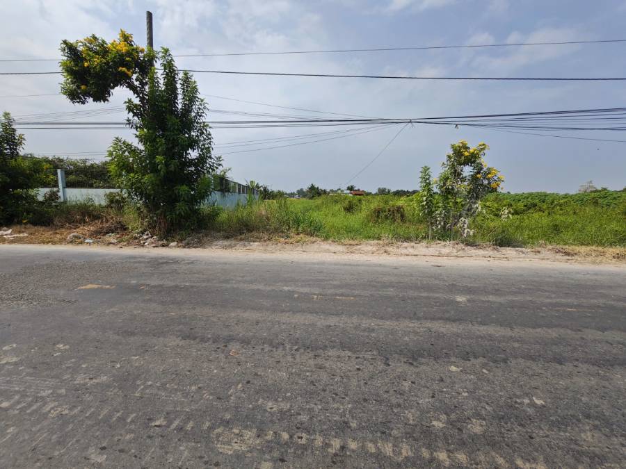 Bán thanh lý lô đất thổ mặt tiền Cao Thị Mai giá 1,7 tỷ   - Xã Bình Trinh Đông  -  Huyện Tân Trụ  - (ảnh - 4)