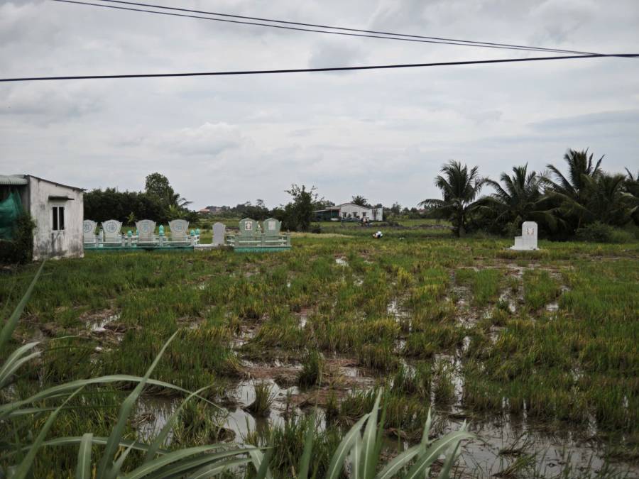 Bán  lô đất lúa chuyển thổ tỉnh lộ 823 gần quốc lộ 50B giá 2,2 tỷ - Xã Nhựt Ninh  -  Huyện Tân Trụ  - (ảnh - 1)