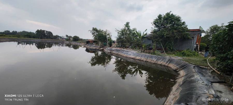 Bán lô đất thổ vườn gần Quốc Lộ 50B giá 3,5 tỷ - Xã Tân Phước Tây  -  Huyện Tân Trụ  - (ảnh - 2)