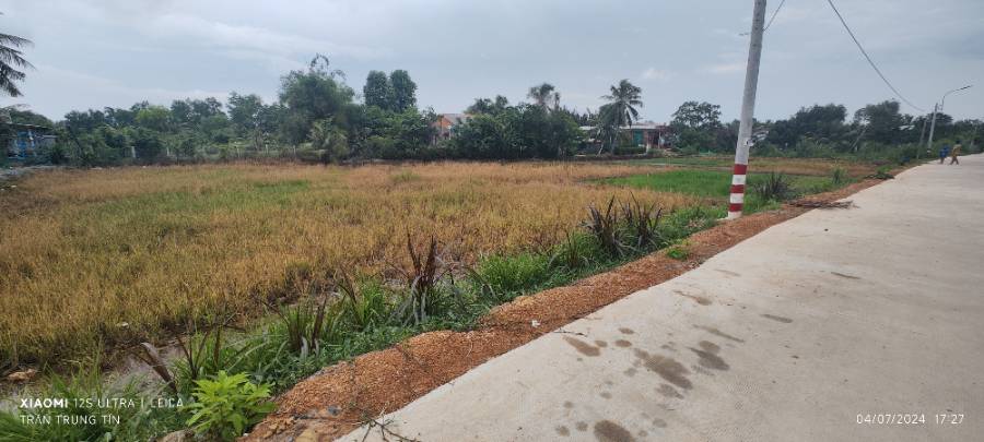 Bán lô đất lúa 4 mặt tiền chuyển thổ phân lô giá chốt 4  tỷ  - Thị trấn Tân Trụ  -  Huyện Tân Trụ  - (ảnh - 6)