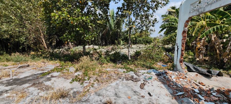 Bán gấp lô đất thổ thủy sản làm nhà vườn giá rẻ 1,8 tỷ  - Xã Nhựt Ninh  -  Huyện Tân Trụ  - (ảnh - 4)