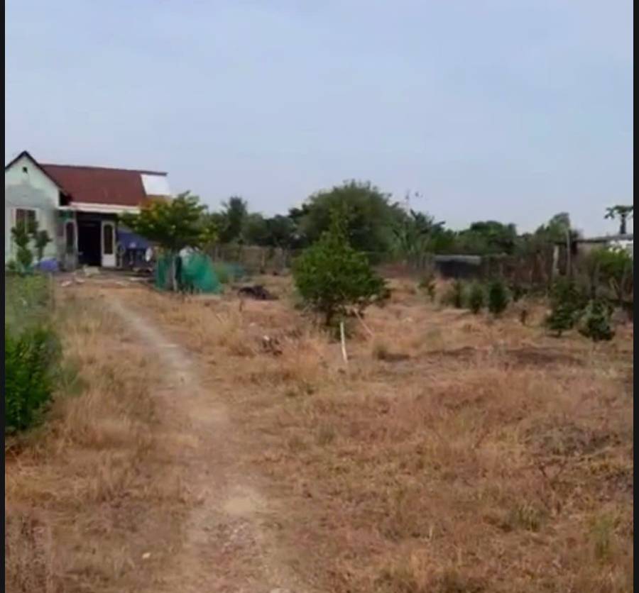 🎯Bán đất thổ vườn đường Lộ Dừa giá 4,6 tỷ  - Xã Vĩnh Công  -  Huyện Châu Thành  - (ảnh - 4)