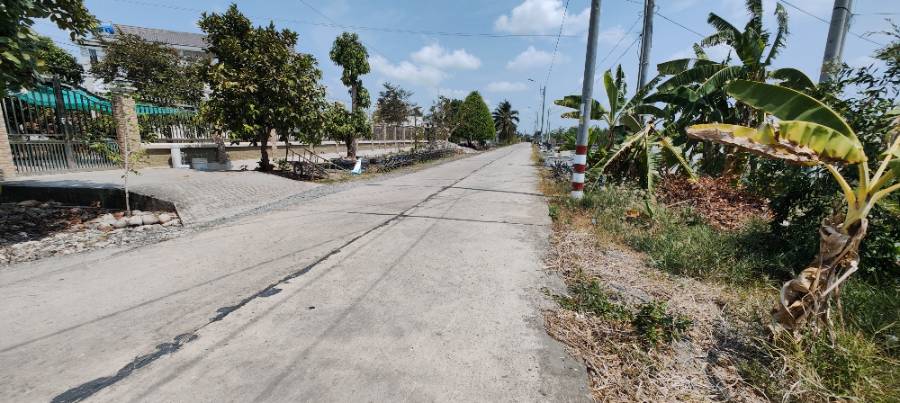 Bán gấp lô đất thổ thủy sản làm nhà vườn giá rẻ 1,8 tỷ  - Xã Nhựt Ninh  -  Huyện Tân Trụ  - (ảnh - 7)