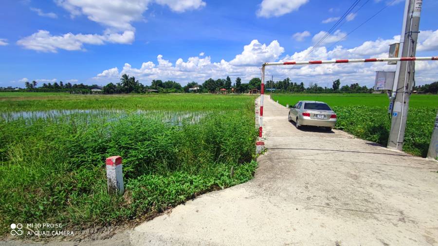 Bán lô đất lúa chuyển thổ mặt tiền Tỉnh Lộ 833B giá 2,5 triệu/m2 - Xã Lạc Tấn  -  Huyện Tân Trụ  - (ảnh - 2)