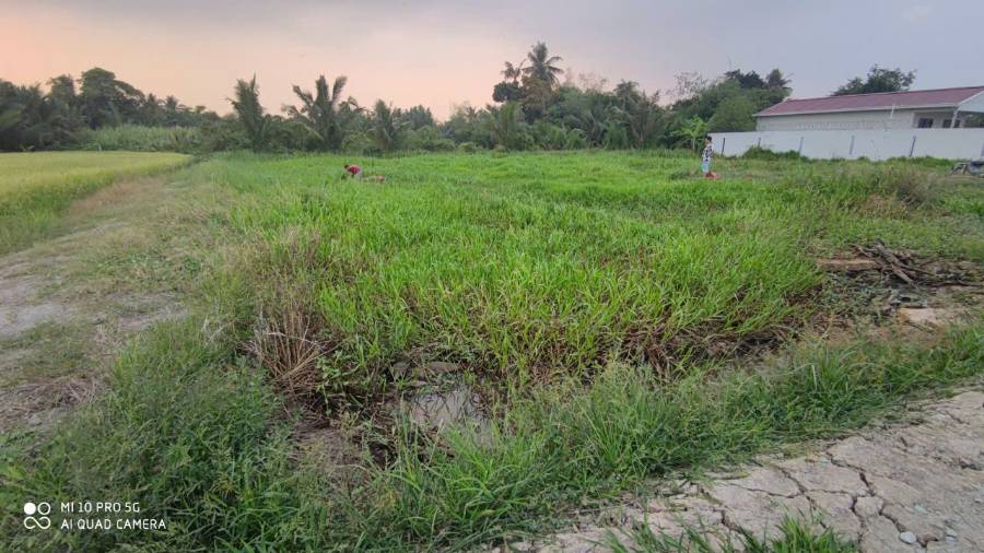 Bán gấp lô đất thổ mặt tiền đường Nguyễn văn Châu giá 500 triệu - Xã Đức Tân  -  Huyện Tân Trụ  - (ảnh - 0)