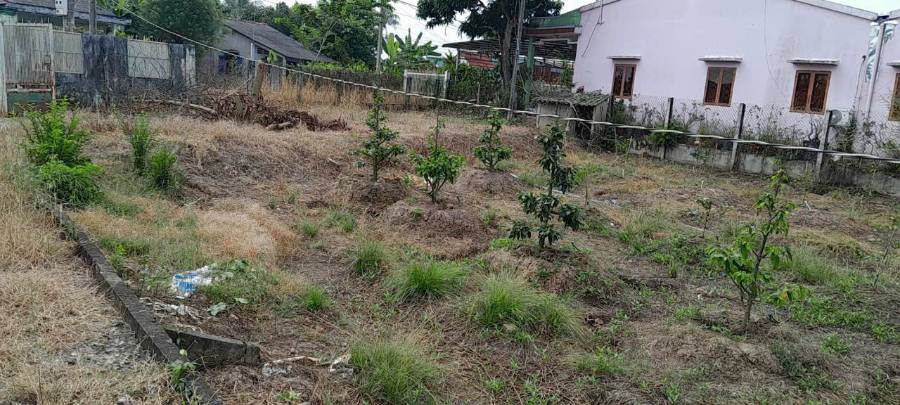 🎯Bán đất thổ vườn đường Lộ Dừa giá 4,6 tỷ  - Xã Vĩnh Công  -  Huyện Châu Thành  - (ảnh - 5)