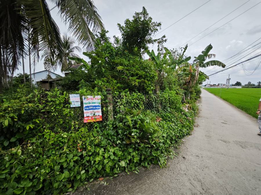 Bán  lô đất thổ hai mặt tiền có nhà giá 1,9 tỷ - Xã Đức Tân  -  Huyện Tân Trụ  - (ảnh - 3)