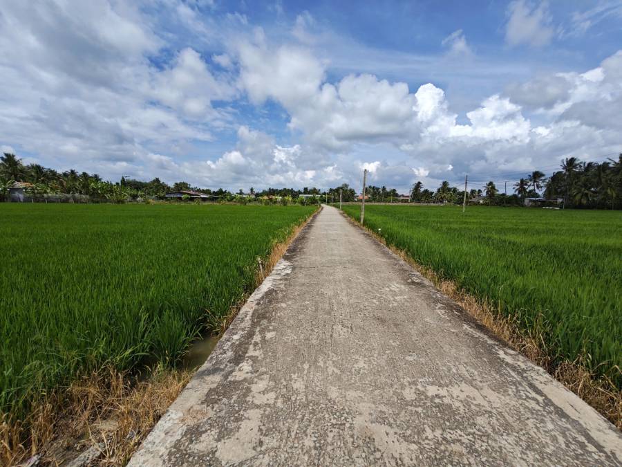 Bán đất lúa chuyển thổ  xã Vàm Cỏ gần Quốc Lộ 50B giá 7,3 tỷ  - Xã Đức Tân  -  Huyện Tân Trụ  - (ảnh - 1)