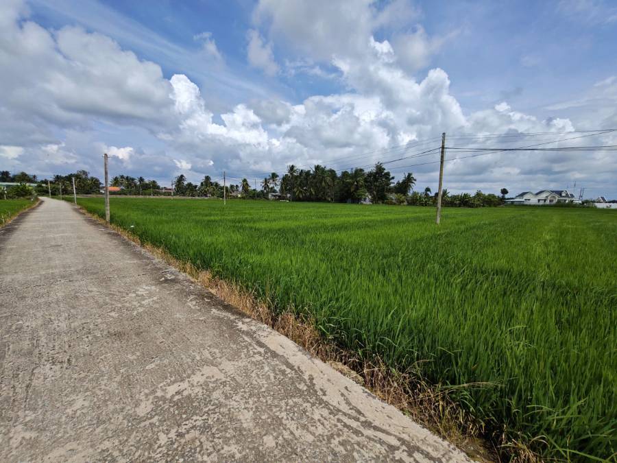 Bán đất lúa chuyển thổ  xã Vàm Cỏ gần Quốc Lộ 50B giá 7,3 tỷ  - Xã Đức Tân  -  Huyện Tân Trụ  - (ảnh - 6)