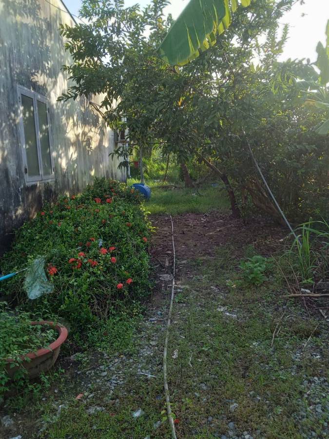 Bán gấp lô đất Thổ có nhà xã Nhựt Ninh giá 1,15 tỷ  - Xã Nhựt Ninh  -  Huyện Tân Trụ  - (ảnh - 3)