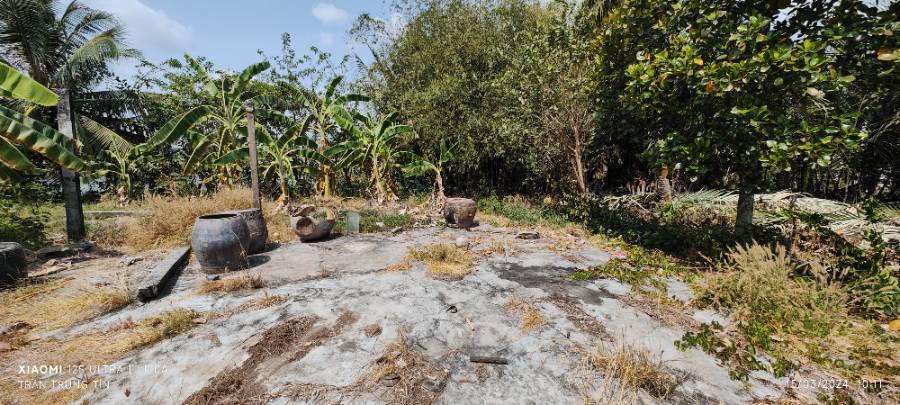 Bán gấp lô đất thổ thủy sản làm nhà vườn giá rẻ 1,8 tỷ  - Xã Nhựt Ninh  -  Huyện Tân Trụ  - (ảnh - 5)