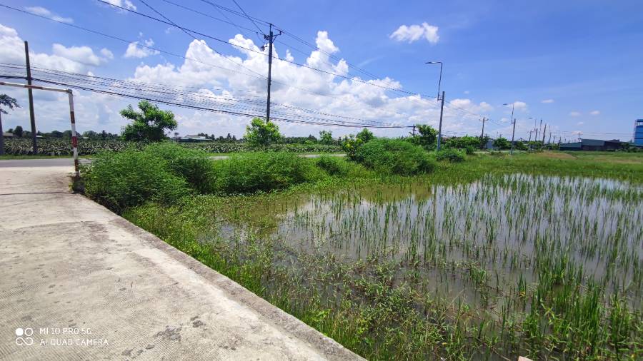 Bán lô đất lúa chuyển thổ mặt tiền Tỉnh Lộ 833B giá 2,5 triệu/m2 - Xã Lạc Tấn  -  Huyện Tân Trụ  - (ảnh - 3)