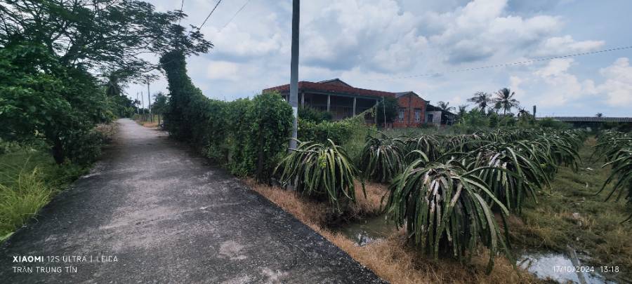 Bán lô đất thổ lúa có  nhà Xã Đức Tân gần Quốc Lộ 50B giá thanh  lý 5 tỷ  - Xã Đức Tân  -  Huyện Tân Trụ  - (ảnh - 3)