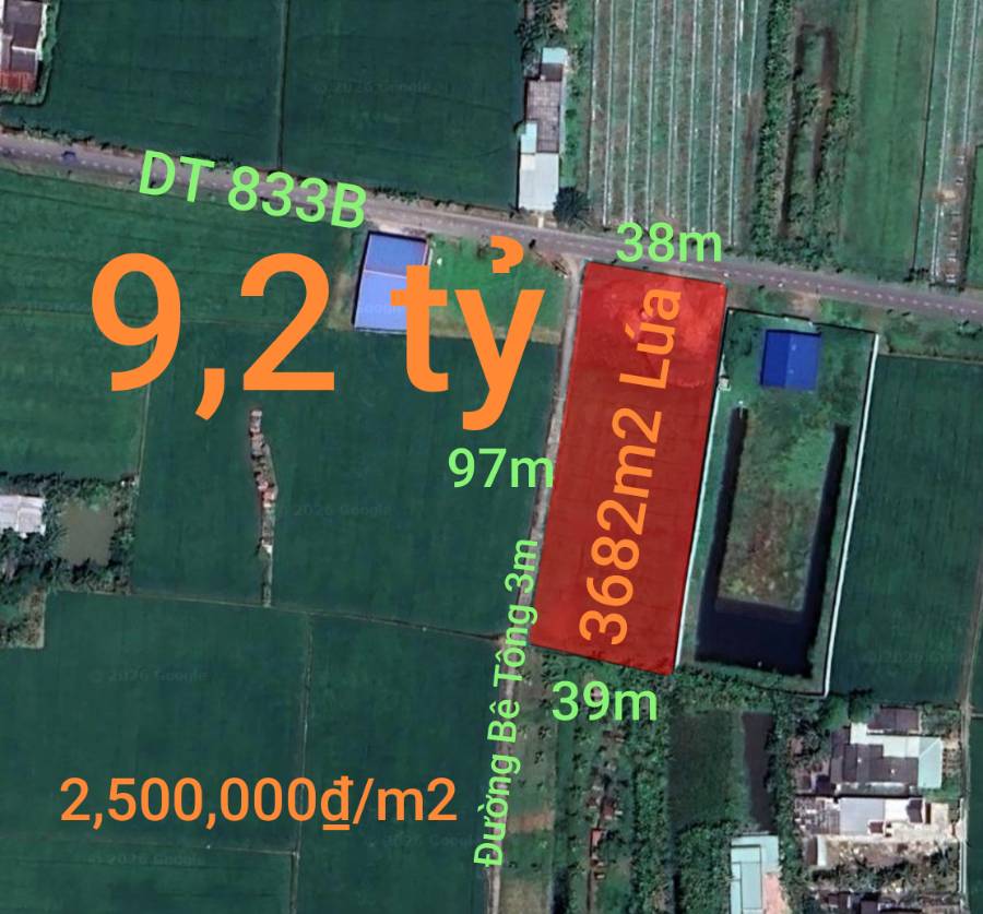 Bán lô đất lúa chuyển thổ mặt tiền Tỉnh Lộ 833B giá 2,5 triệu/m2 - Xã Lạc Tấn  -  Huyện Tân Trụ  - (ảnh - 0)