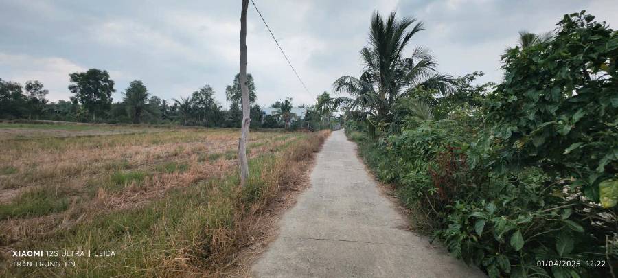 Bán lô nhà không dính quy hoạch giá rẻ 3 tỷ  - Xã Tân Phước Tây  -  Huyện Tân Trụ  - (ảnh - 7)