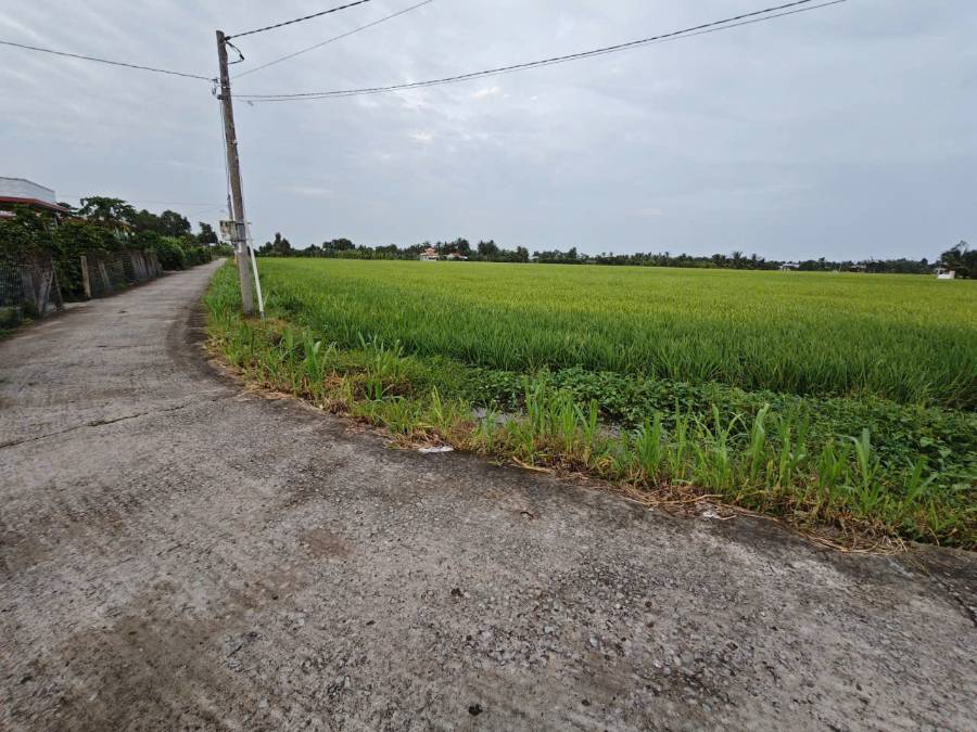  Bán đất xã Vàm Cỏ  chuyển thổ phân lô 2 mặt tiền giá 2,6 tỷ  - Xã Đức Tân  -  Huyện Tân Trụ  - (ảnh - 4)