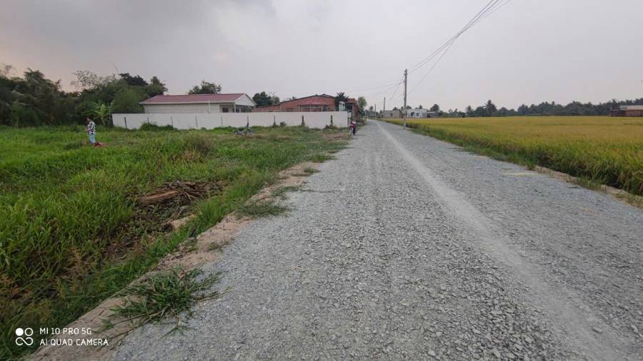 Bán gấp lô đất thổ mặt tiền đường Nguyễn văn Châu giá 500 triệu - Xã Đức Tân  -  Huyện Tân Trụ  - (ảnh - 2)